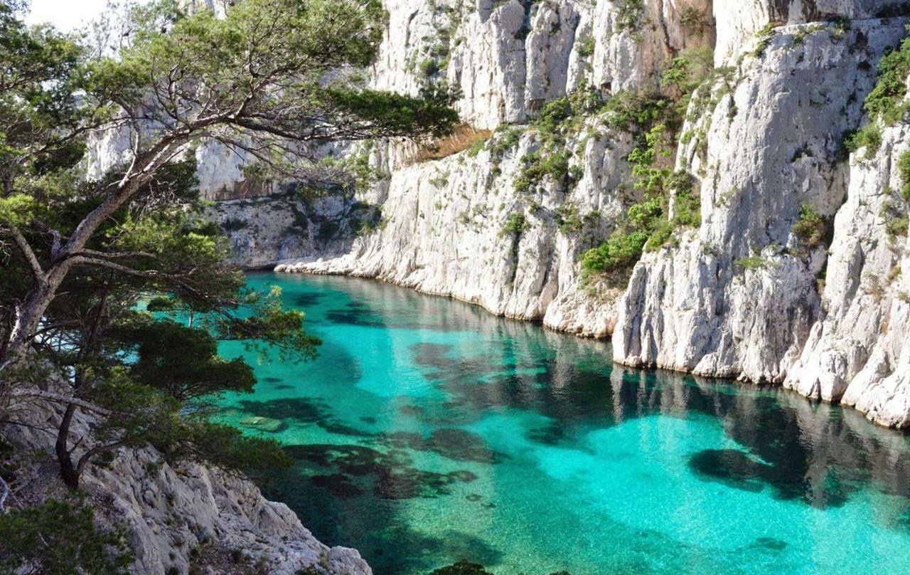 Le Patio Des Mimosas Par Dodo-A-Cassis Bed & Breakfast Bagian luar foto